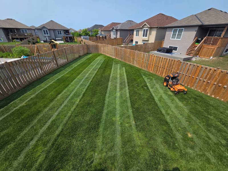 Lawn Maintenance & Care